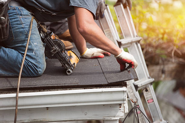 Best Shingle Roofing Installation  in Mishicot, WI