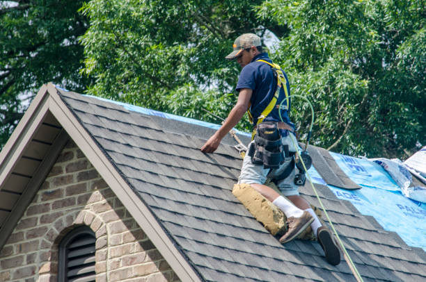 Best Roof Waterproofing Services  in Mishicot, WI